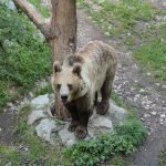 Weekend Reading – Reasons to be Bearish